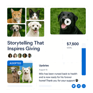 Storytelling That Inspires Giving